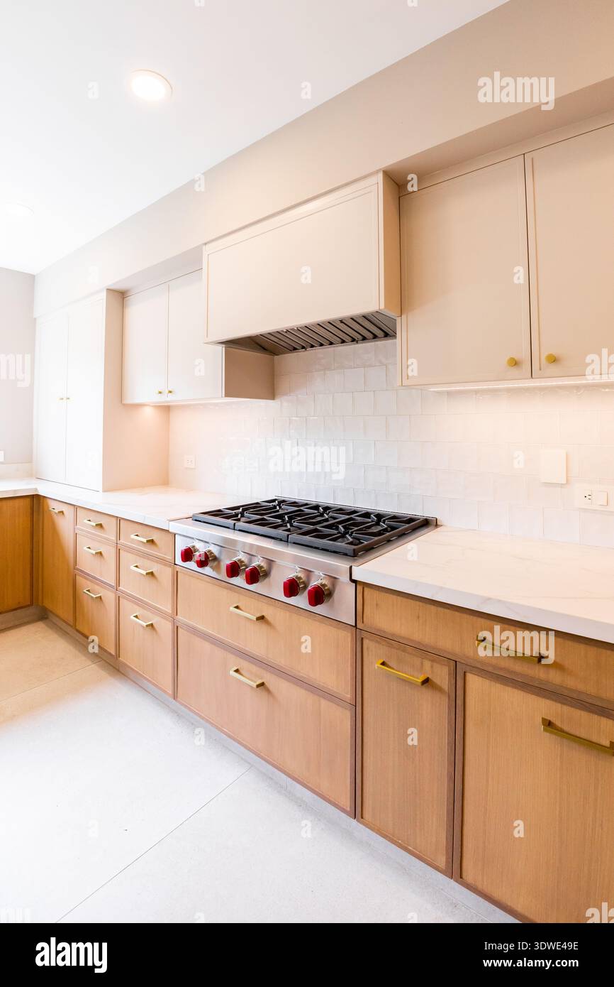 Elegante cucina dal design minimalista con eleganti armadietti in legno, un ripiano in marmo e una moderna stufa in acciaio inossidabile, per un ambiente pulito e divertente Foto Stock