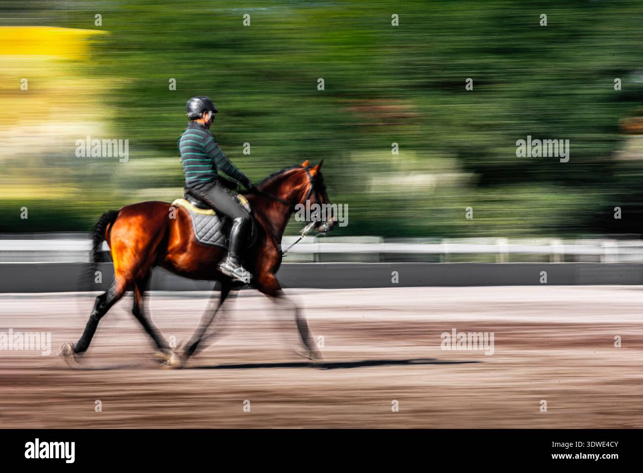 Un ciclista con camicia a righe e casco viene catturato in movimento durante una giornata di sole su un cavallo marrone, con uno sfondo sfocato che ne esalta la sensazione Foto Stock