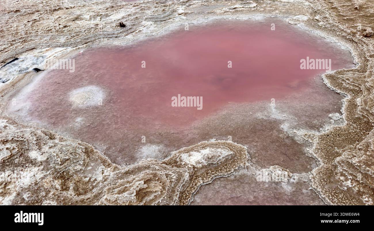 La fotografia aerea cattura la bellezza surreale di un vivace lago di acqua salata rosa circondato da un terreno arido e strutturato. Il fenomeno naturale si manifesta Foto Stock
