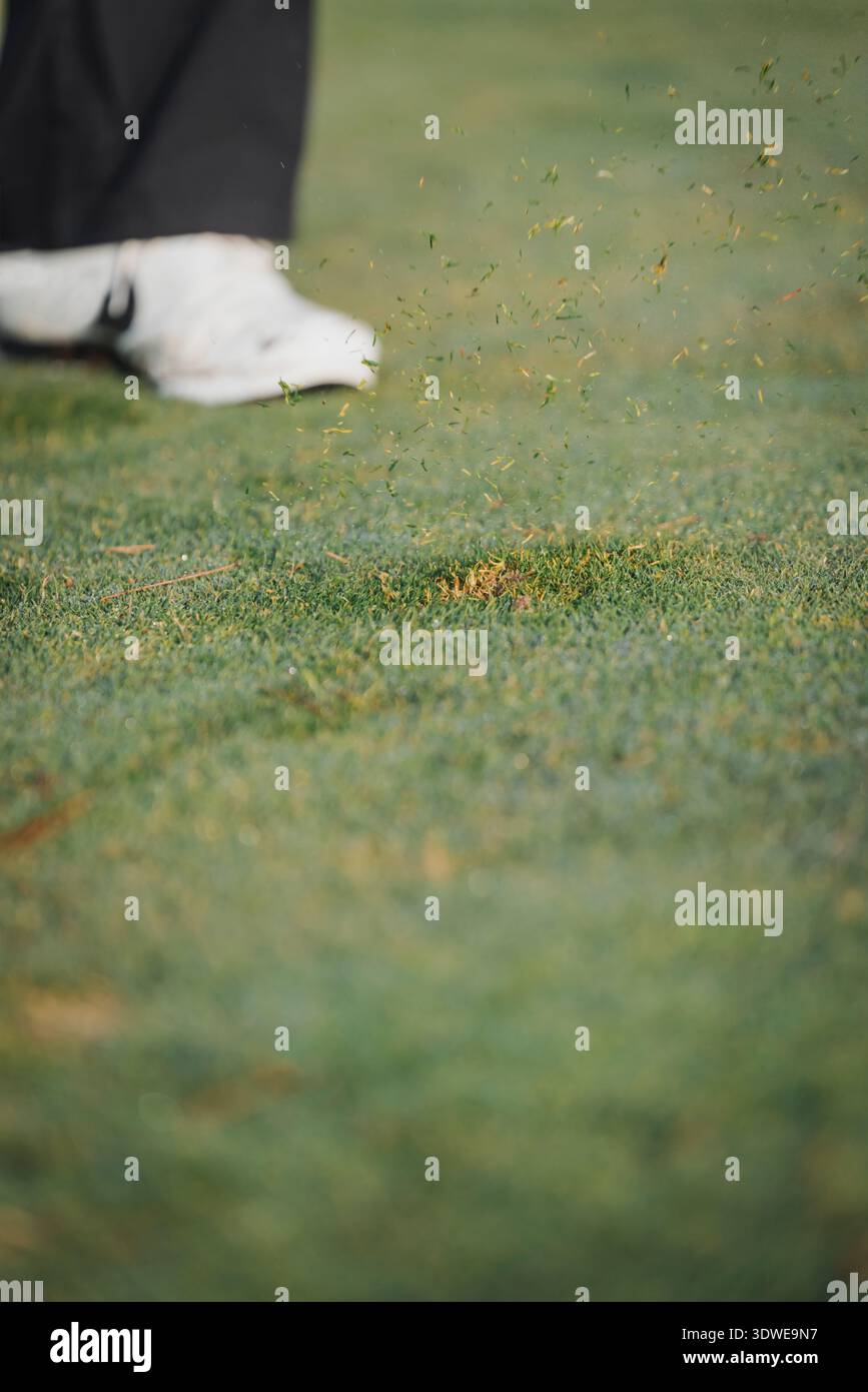 Il piede di un golfista ha catturato l'altalena, inviando l'erba in aria su un vivace campo verde. Questo scatto dinamico incarna l'essenza del golf come populista Foto Stock