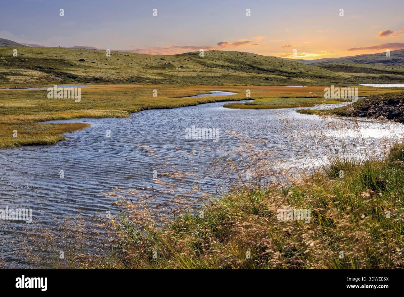Il fiume Orkla sorgente del lago Orkel, contea di Oppdal, Norvegia Foto Stock