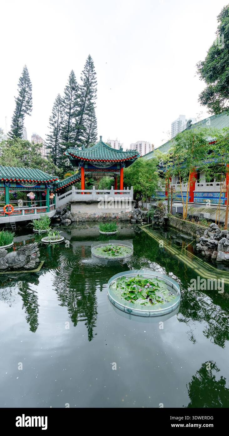 Un piccolo e tranquillo giardino all'interno del Tempio di Wong Tai sin a Kowloon, Hong Kong. Il tranquillo laghetto e la vegetazione lussureggiante creano un'oasi tranquilla nella vivace SP Foto Stock