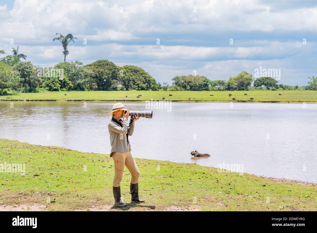 Un fotografo faunistico con teleobiettivo si trova in riva a un lago di Casanare, Colombia, e cattura immagini della natura. La scena è vivace con un verde lussureggiante Foto Stock
