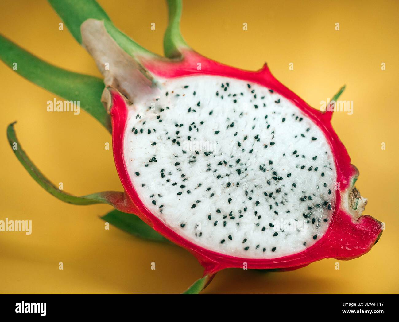 Primo piano di un frutto di drago tagliato a metà, mostrando la sua carne bianca e i semi neri. Il vibrante sfondo giallo mette in risalto gli esotici e tropicali Foto Stock