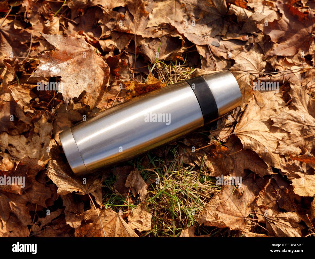 Una fiasca sottovuoto in argento resistente appoggiata su un tappeto di foglie d'acero marrone e arancione cadute nella foresta. Foto Stock