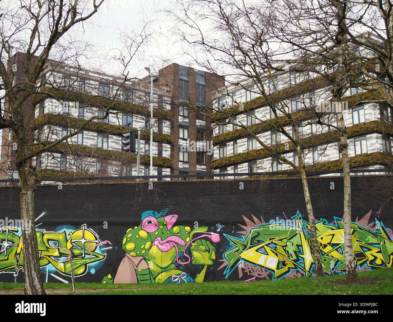 Appartamenti graffiti e le chiuse a Chapel Ash, Wolverhampton - febbraio 2026 Foto Stock