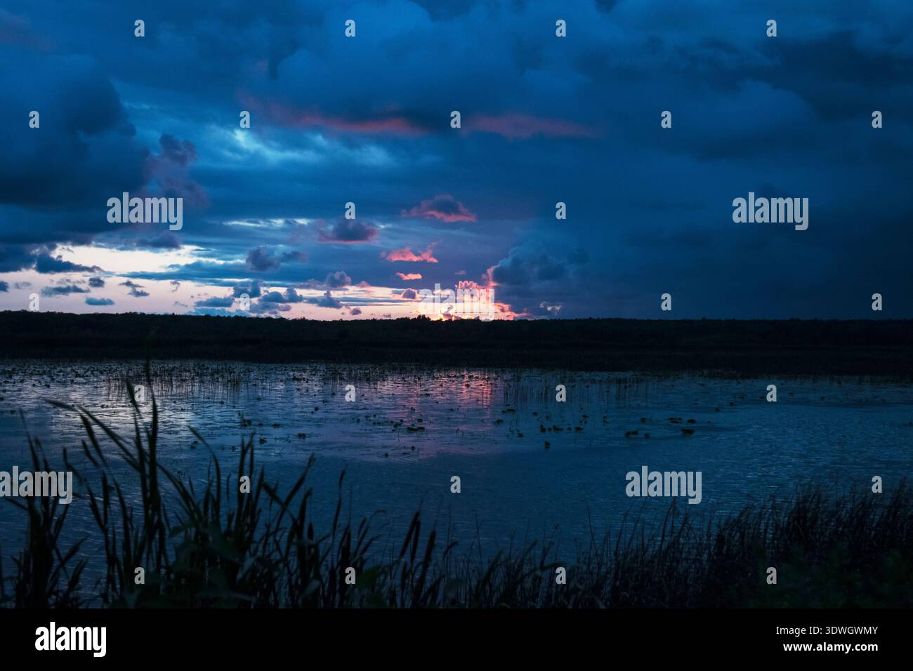 Tramonto sulle paludi di acqua dolce Foto Stock