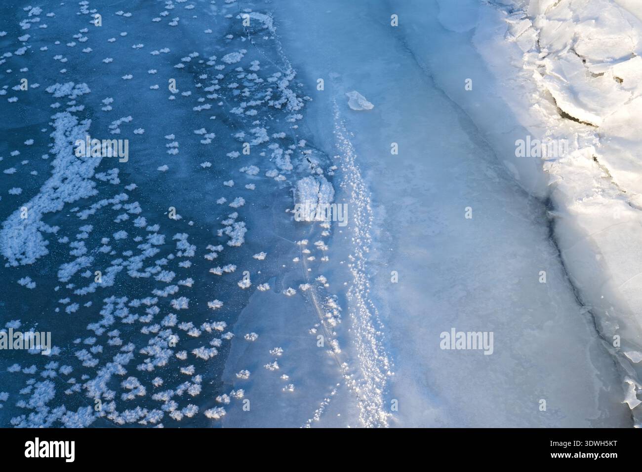 Fiori ghiacciati e ghiacciati in un fiume ghiacciato Foto Stock