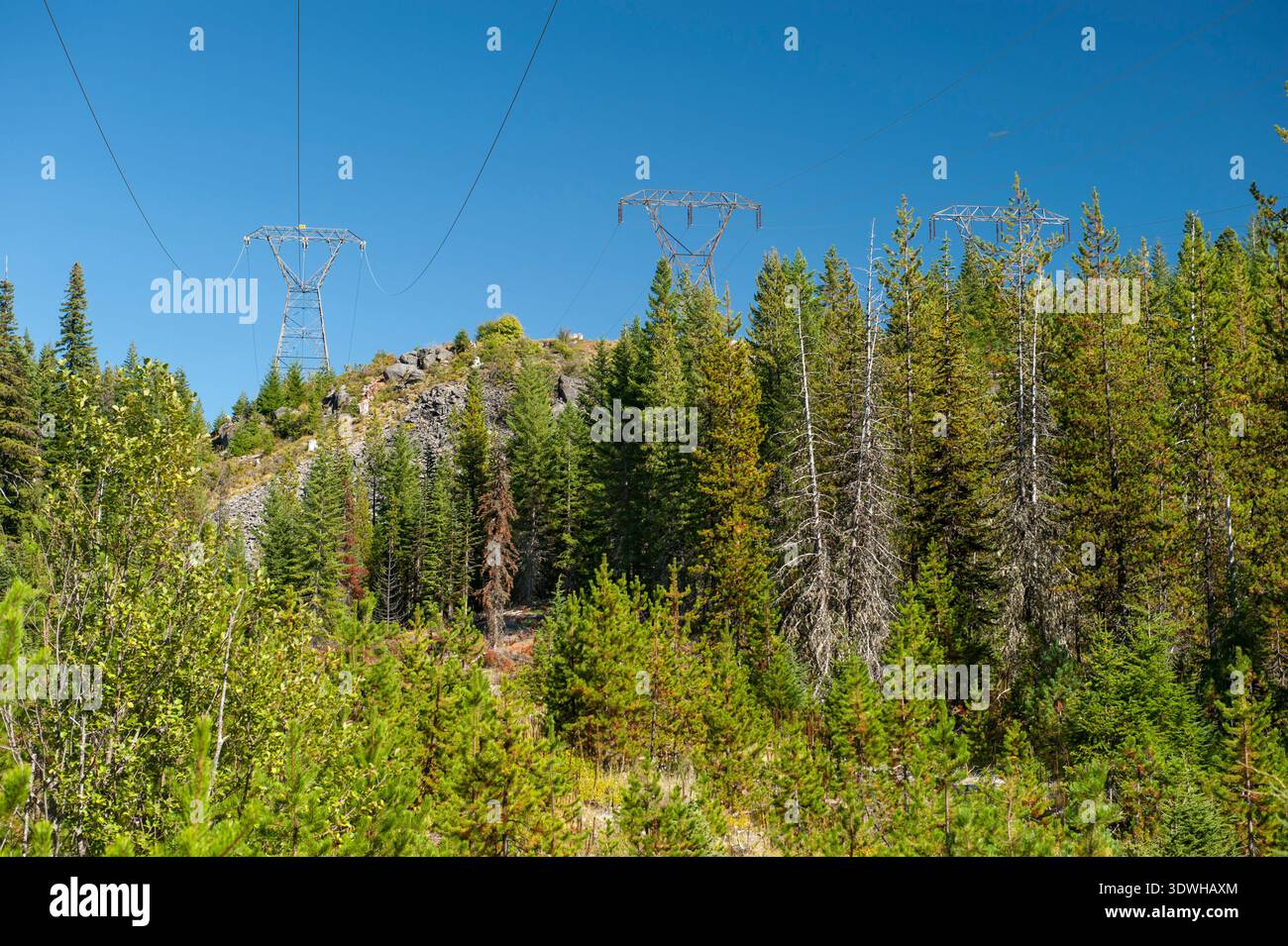 Le linee elettriche che attraversano l'Olallie Scenic area dell'Oregon. Foto Stock