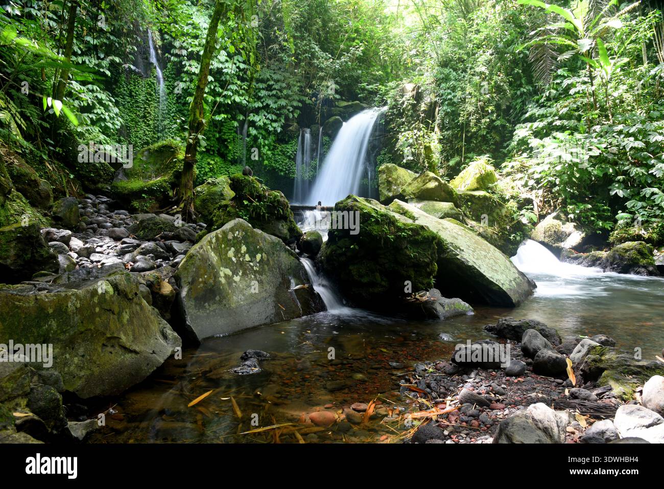Cascata DI YEH HOO, nella reggenza Tabanan di Bali, Indonesia, con splendide vibrazioni della foresta Foto Stock