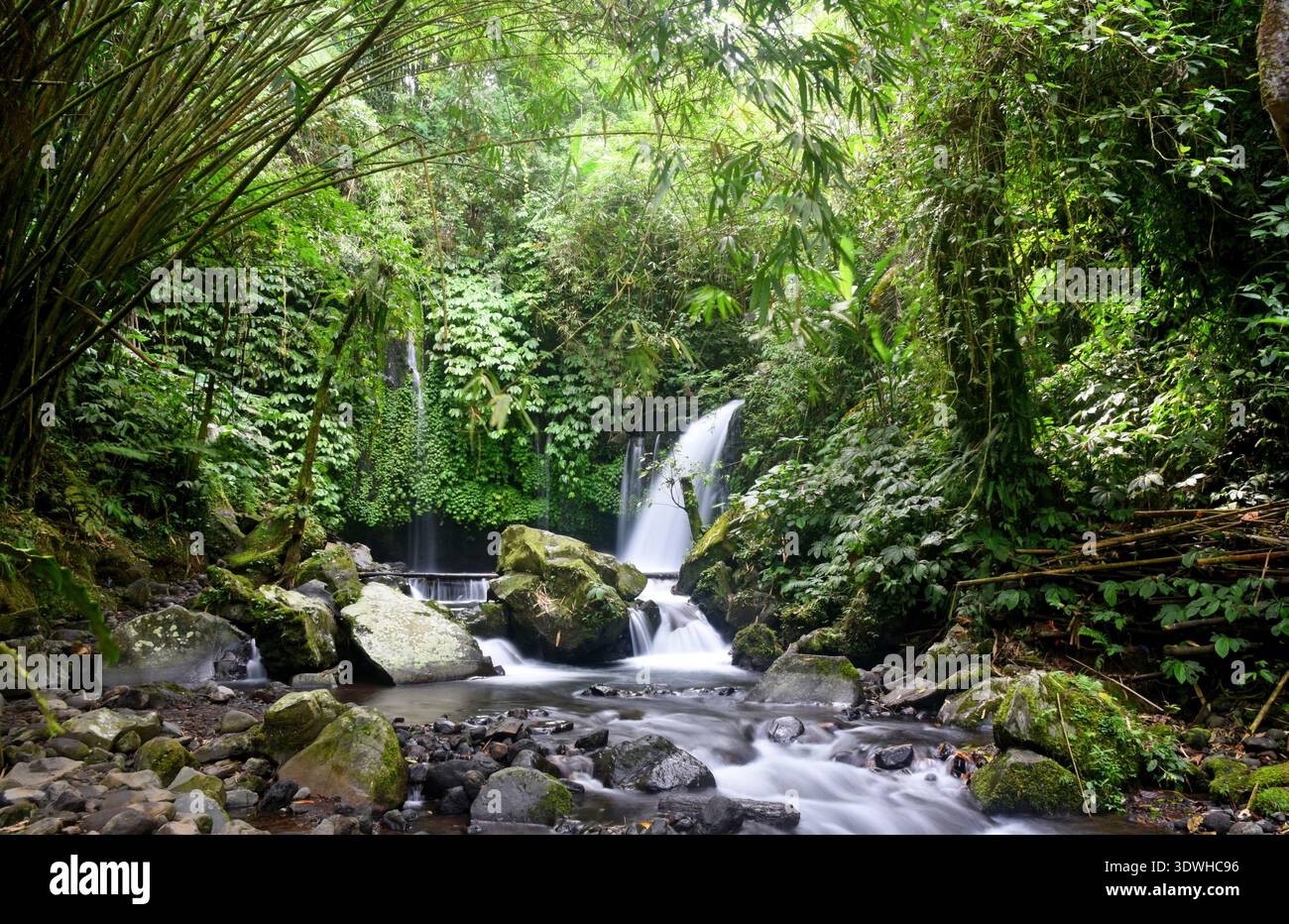 Cascata DI YEH HOO, nella reggenza Tabanan di Bali, Indonesia, con splendide vibrazioni della foresta Foto Stock
