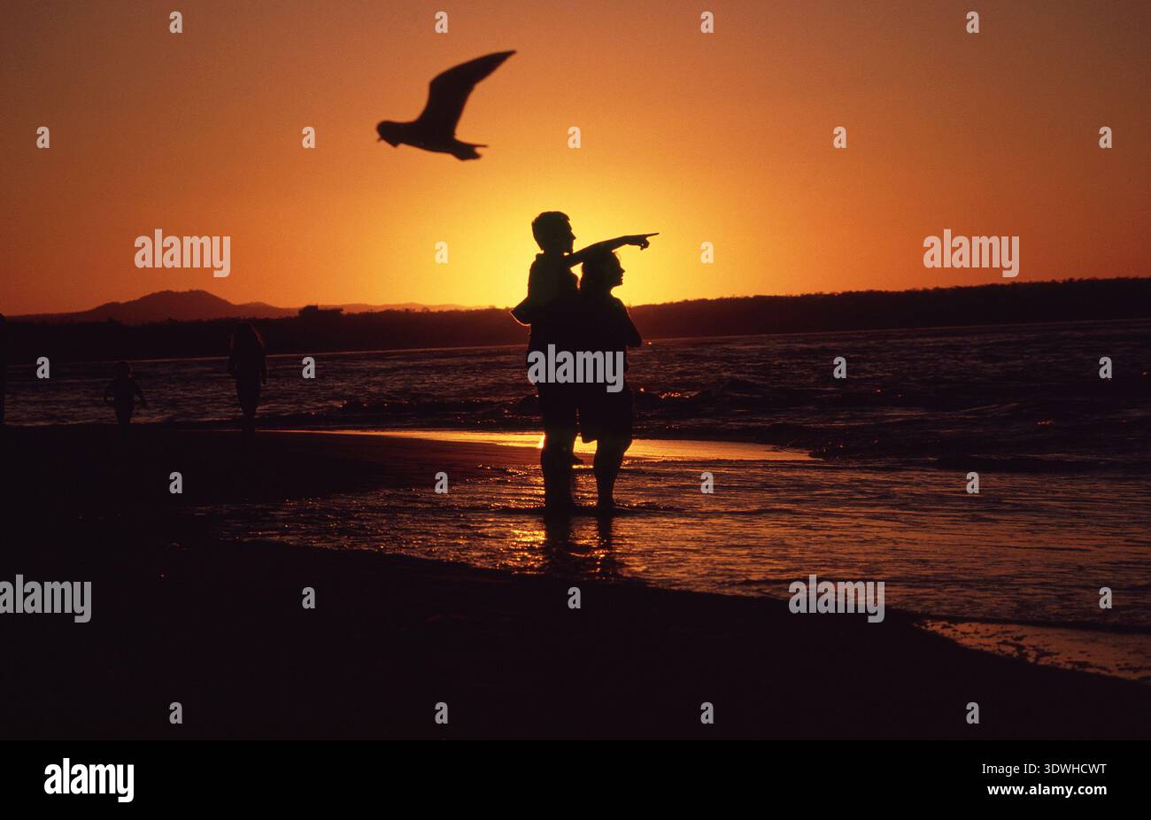 GIOVANE COPPIA SULLA SPIAGGIA AUSTRALIANA AL TRAMONTO. L'UOMO STA INDICANDO IL MARE. GABBIANO IN PRIMO PIANO. NSW. Foto Stock