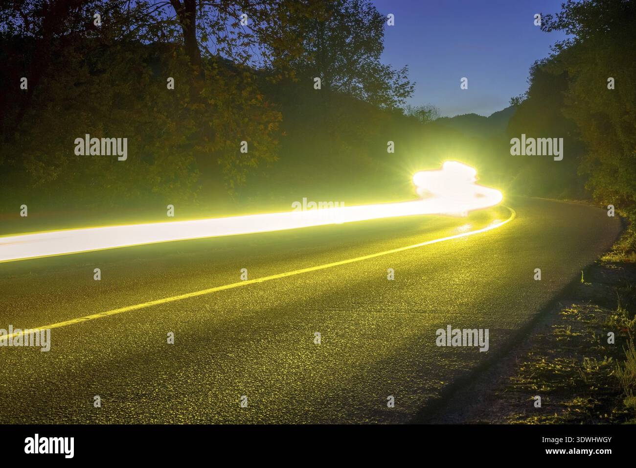 I fari illuminano un vuoto di strada in una notte d'estate foresta. Lungo i sentieri di avvolgimento Foto Stock