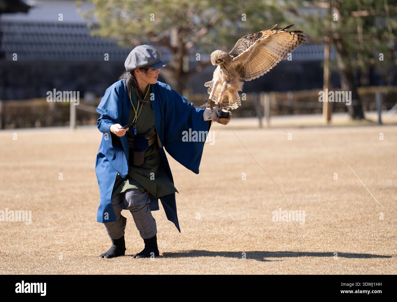 Falconeria giapponese al Kanazawa Castle Park, Kenrokumachi, Kanazawa, Ishikawa, Honshu, Giappone Foto Stock