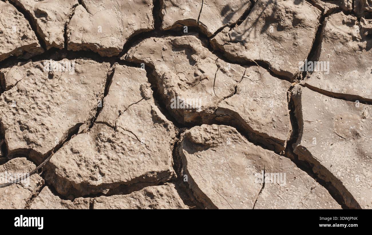 Crepe nel terreno essiccato in stagione arida / desertificazione Foto Stock