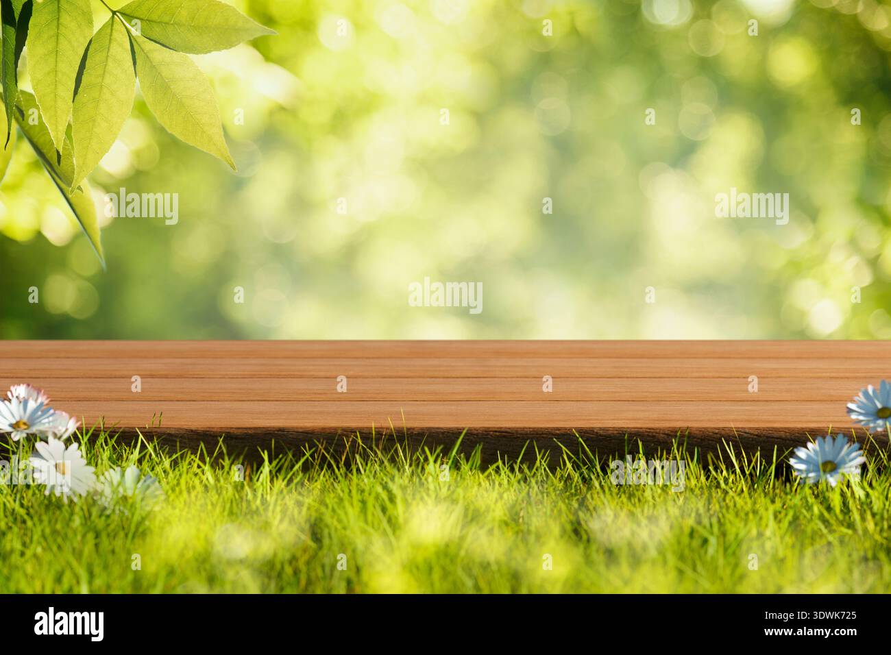 Sfondo primaverile con erba verde, margherita, fogliame di alberi e tavolo di legno vuoto in natura all'aperto. Modello per il posizionamento di prodotti biologici naturali. E Foto Stock