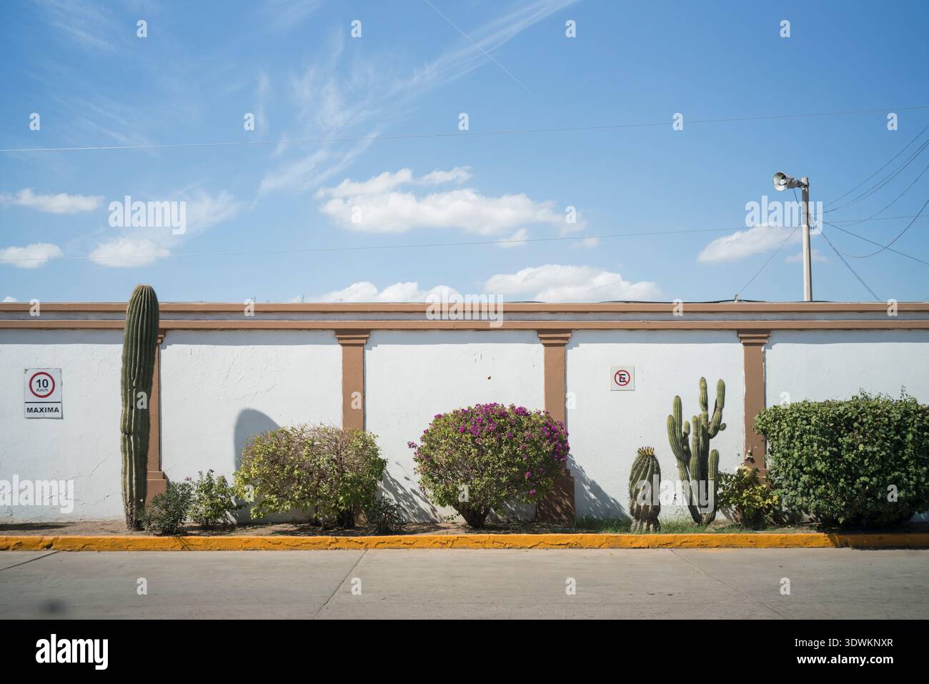 Paesaggio e mura del deserto di Sonora in Messico Foto Stock