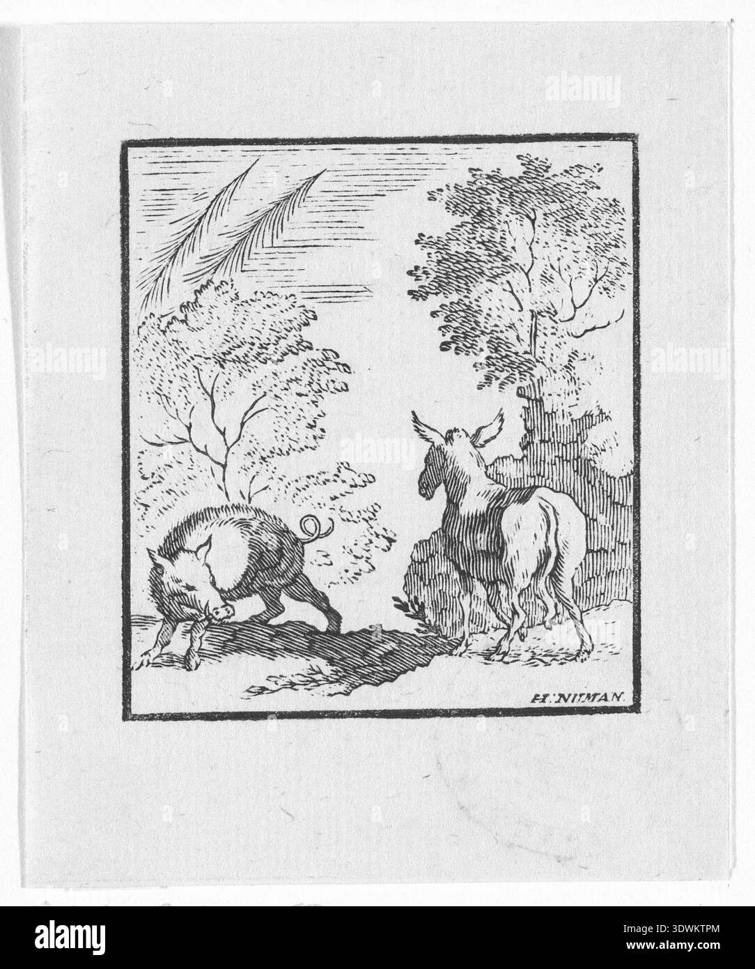 Un cinghiale e una capra si affrontano. Raffigurazione di una storia di Aesop's Fables. Probabilmente da “il cinghiale e la capra”. Foto Stock