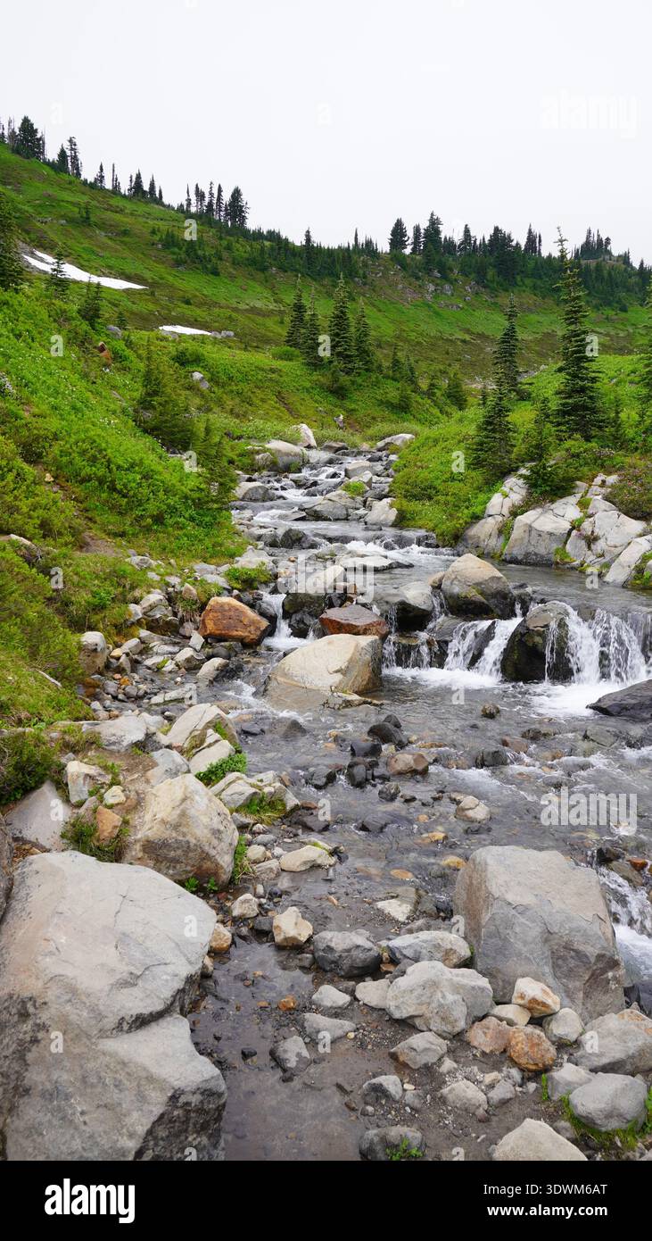 Ruscello alpino roccioso nel Mount Rainier National Park, stato di Washington, Stati Uniti. Foto Stock