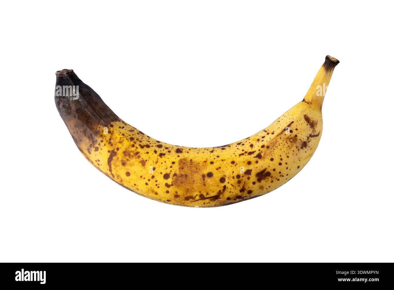 Banana di colore giallo ultrapuro con macchie marrone scuro e muffa isolata su sfondo bianco. Spreco di cibo. Frutta rovinata. Foto Stock