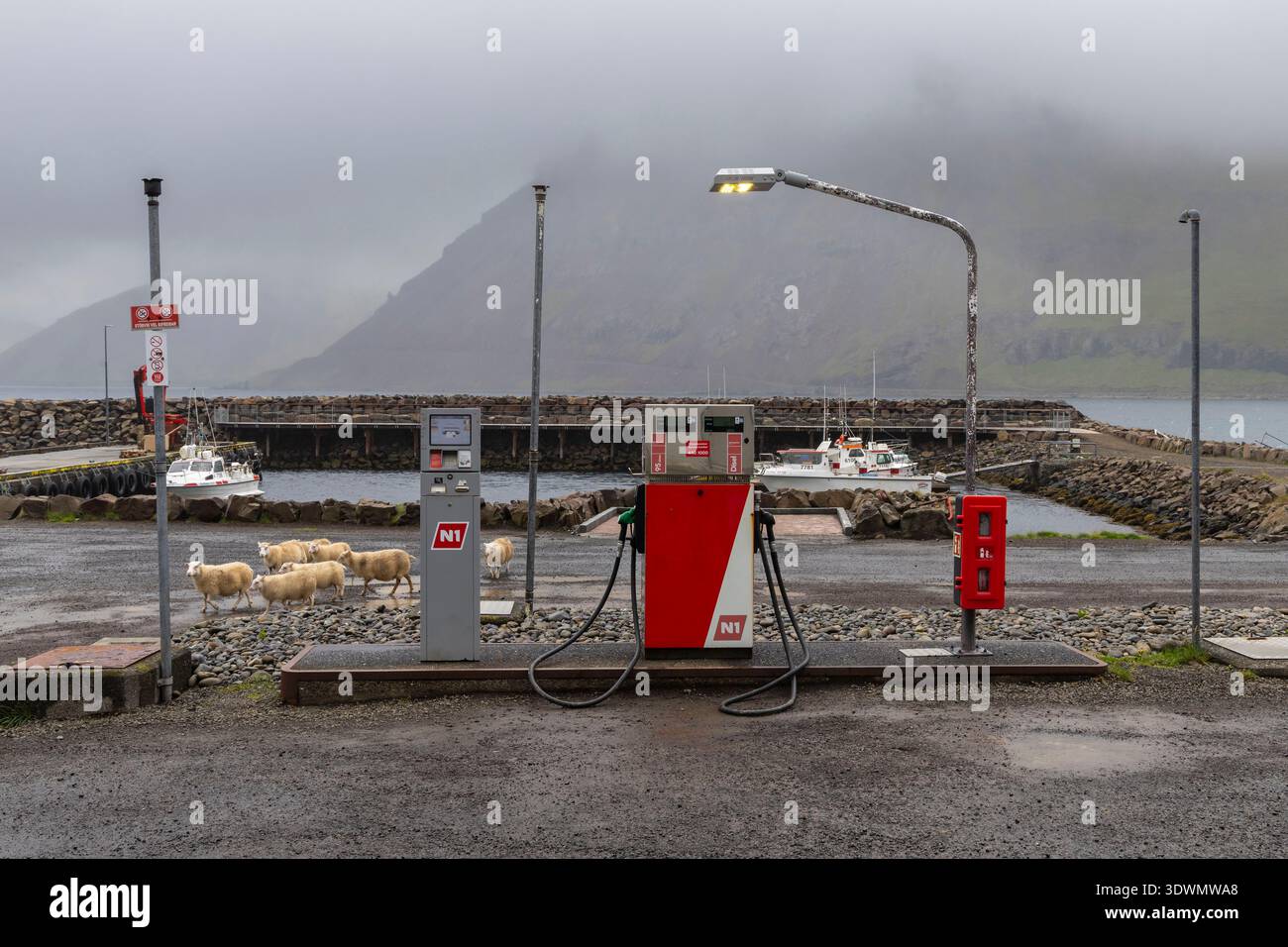 Islanda, Westfjords, regione di Vestfirdir, stazione di servizio N1 con pecore sullo sfondo Foto Stock