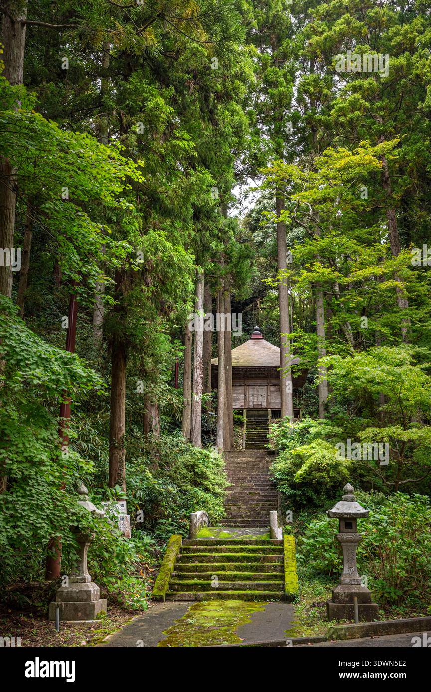 Giappone, Isola di Sado, Prefettura di Niigata, sito sacro della scuola buddista Shingon, chiamato Tempio di Hydrangea, il Tempio di Rengebuji fu fondato da Kukai (Kobo Taishi, fondatore della scuola buddista Shingon) intorno al 806 Foto Stock