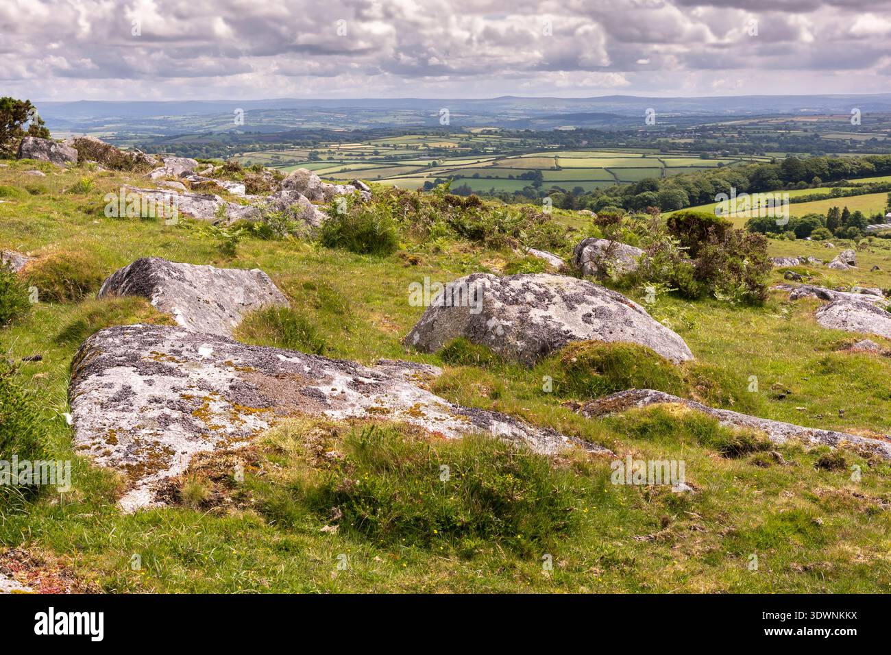 Pietre di granito sulla Bodmin Moor tra Altarnun e Trebatha Foto Stock