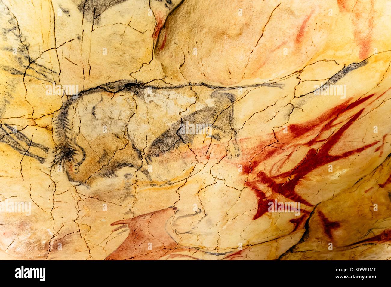 Bisonte monocromatico. Dipinti di grotta sul soffitto della replica grotta, la rappresentazione più fedele della grotta originale di Altamira risalente a 15000 anni fa. NA Foto Stock