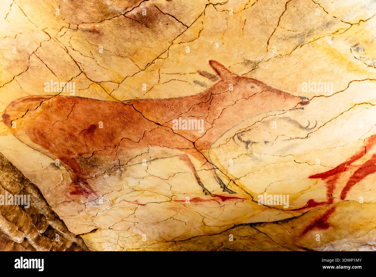 Cervo policromo. Dipinti di grotta sul soffitto della replica grotta, la rappresentazione più fedele della grotta originale di Altamira risalente a 15000 anni fa. NAT Foto Stock