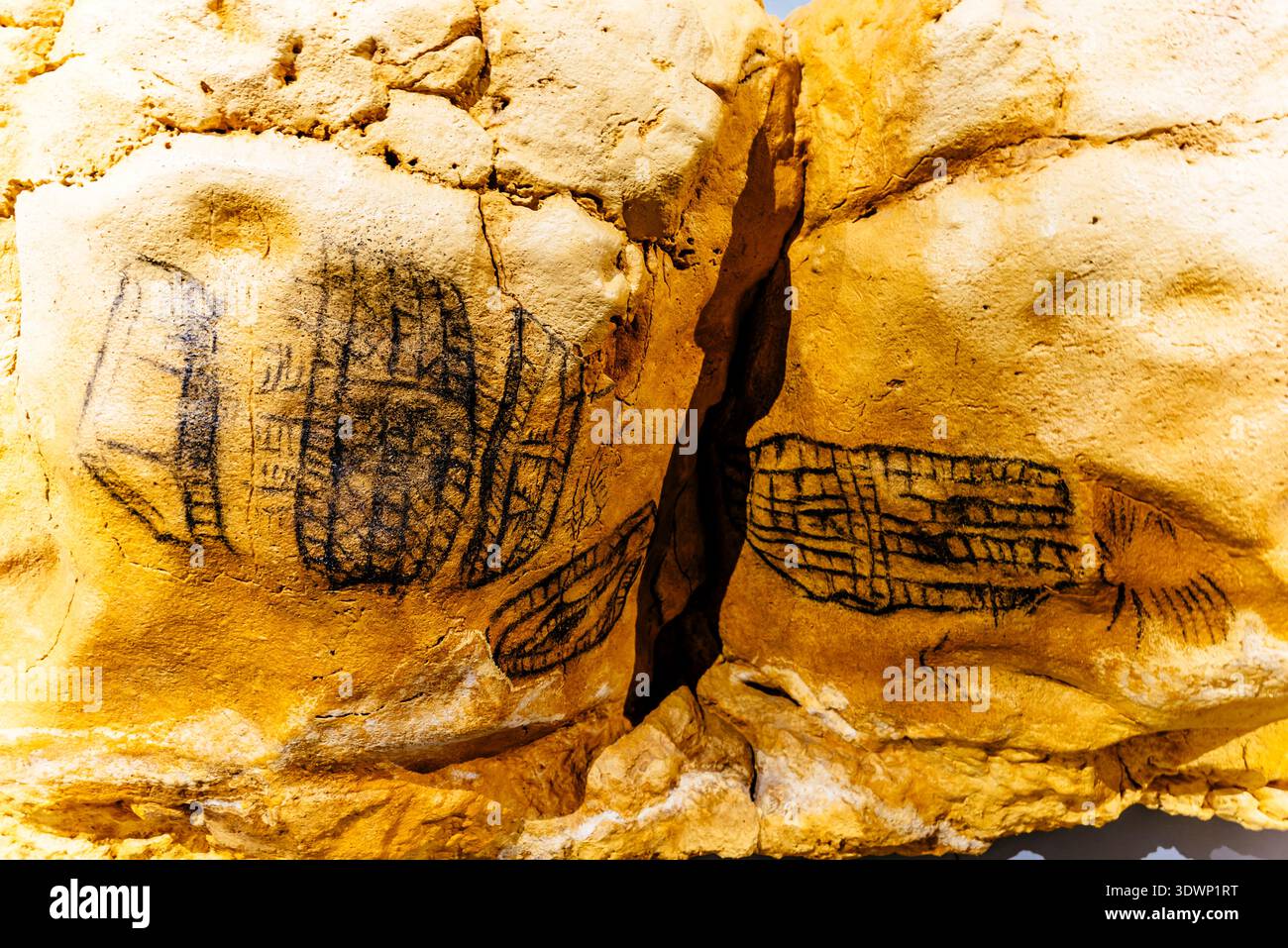 Replica. Dettagli dei cartelli nella Galleria finale. Altamira Neocave. Museo nazionale e centro di ricerca di Altamira. Santillana del Mar, Cantabria Foto Stock