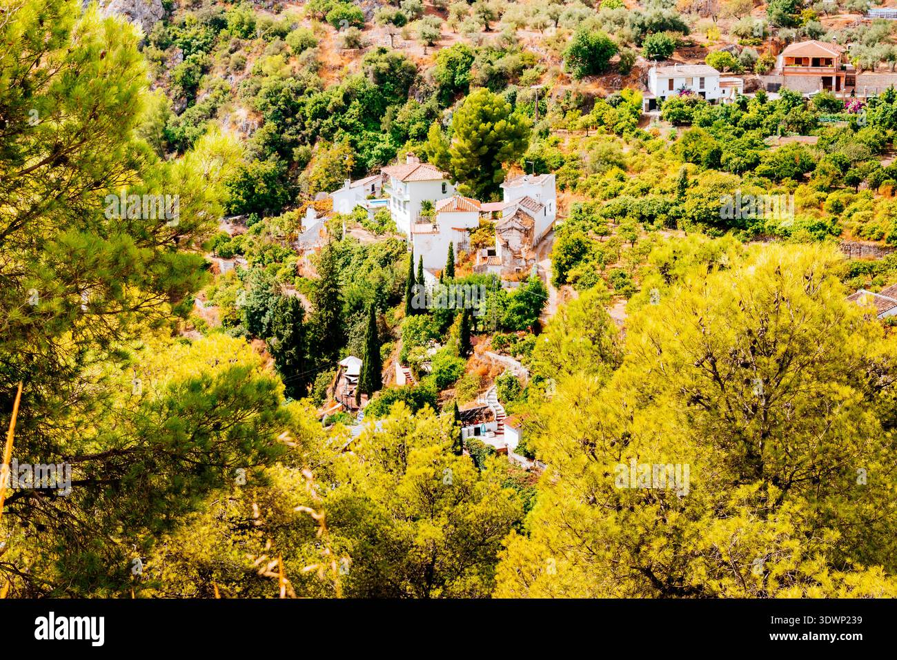 Jorox Lookout. Jorox è un villaggio spagnolo nel comune di Alozaina. Si trova nella valle dell'omonimo fiume. Jorox, Alozaina, Foto Stock