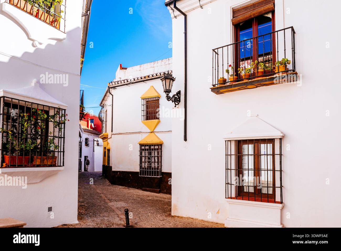 Strada stretta nel centro storico di Ronda, Málaga, Andalucía, Spagna, Europa Foto Stock