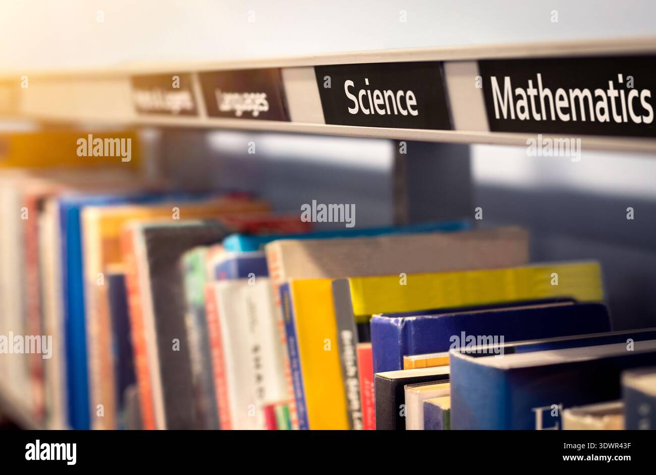 Libri di riferimento sull'educazione bibliotecaria su materie STEM di matematica e scienze vitali per lo studio accademico in informatica, intelligenza artificiale e ingegneria. Foto Stock