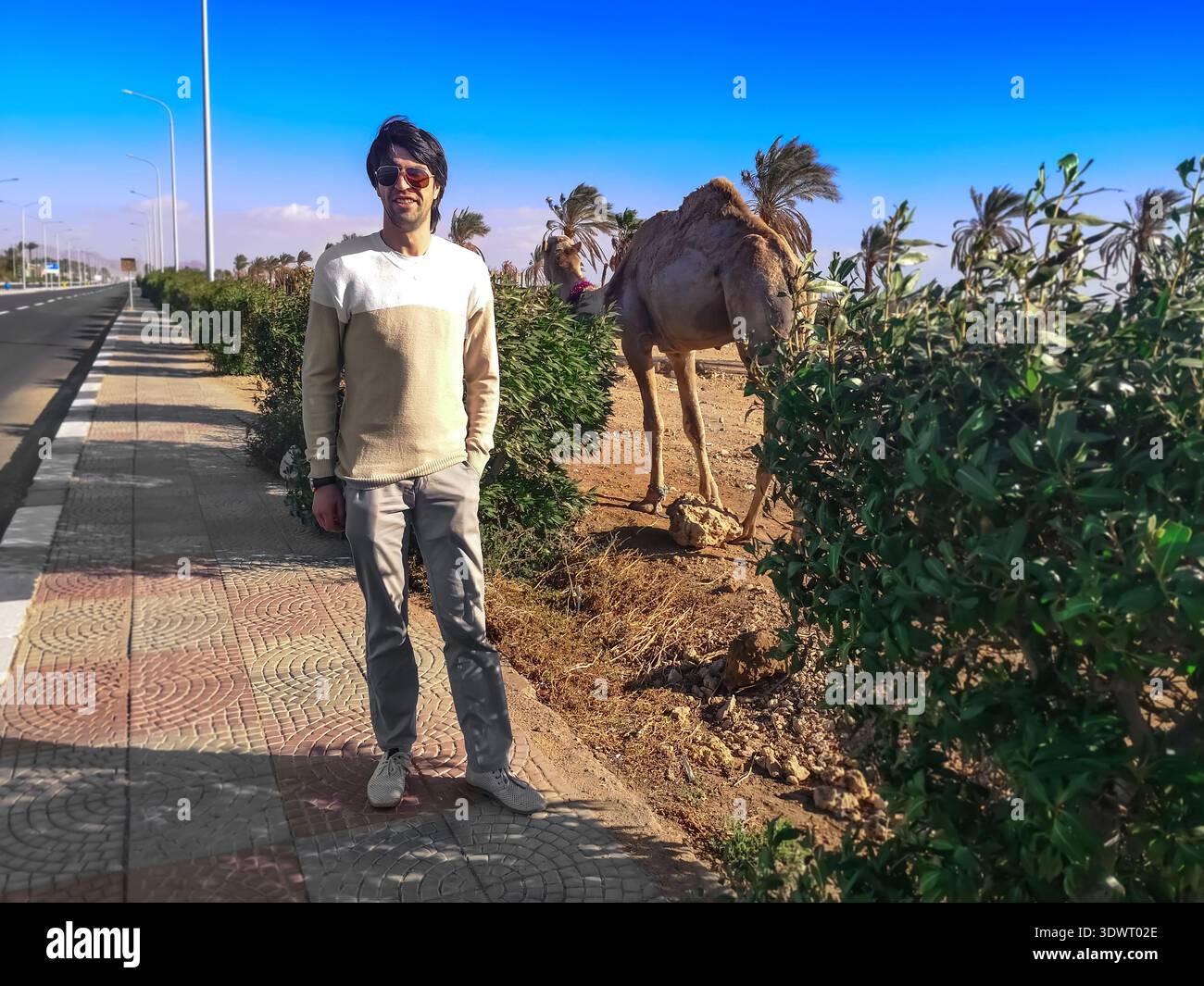 Turista europeo sorridente in posa sullo sfondo di un cammello a Sharm El Sheikh (Egitto). Giovane adulto e dromedario in una strada deserta Foto Stock