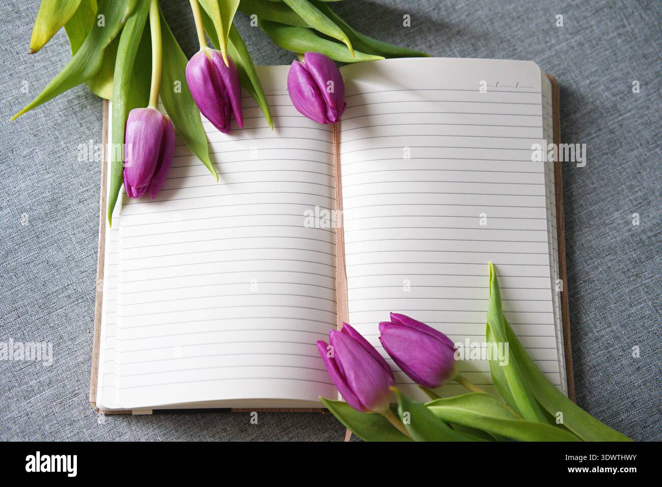 Un quaderno aperto decorato con tulipani viola freschi. Foto di alta qualità Foto Stock