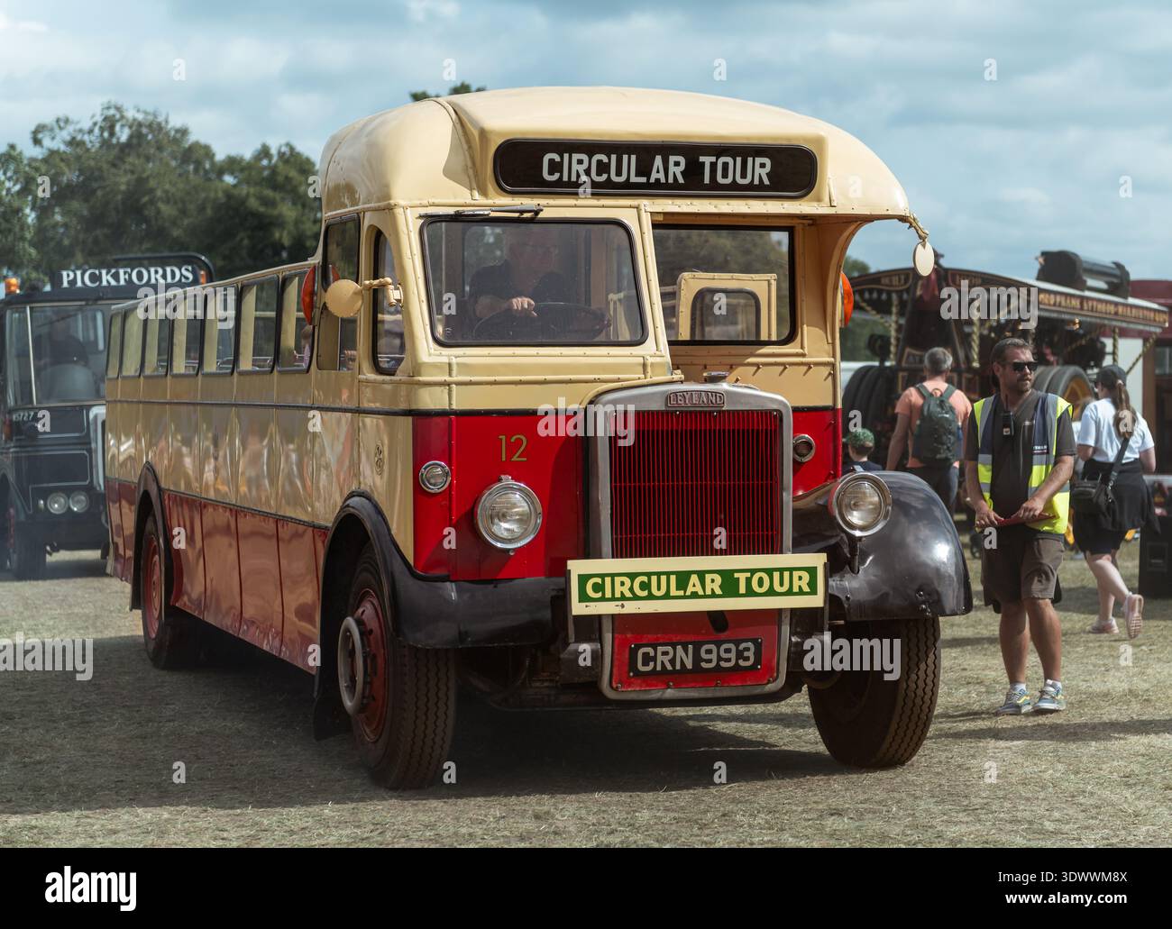 1950 Leyland Tiger PS2/5 bus CRN 993 nella livrea di Ribble che opera tour circolari all'Astle Park Rally 2025. Foto Stock