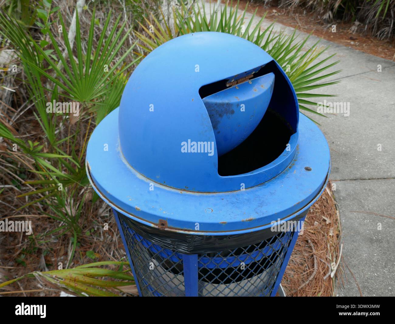 Cestino di metallo blu nel parco tropicale all'aperto Foto Stock