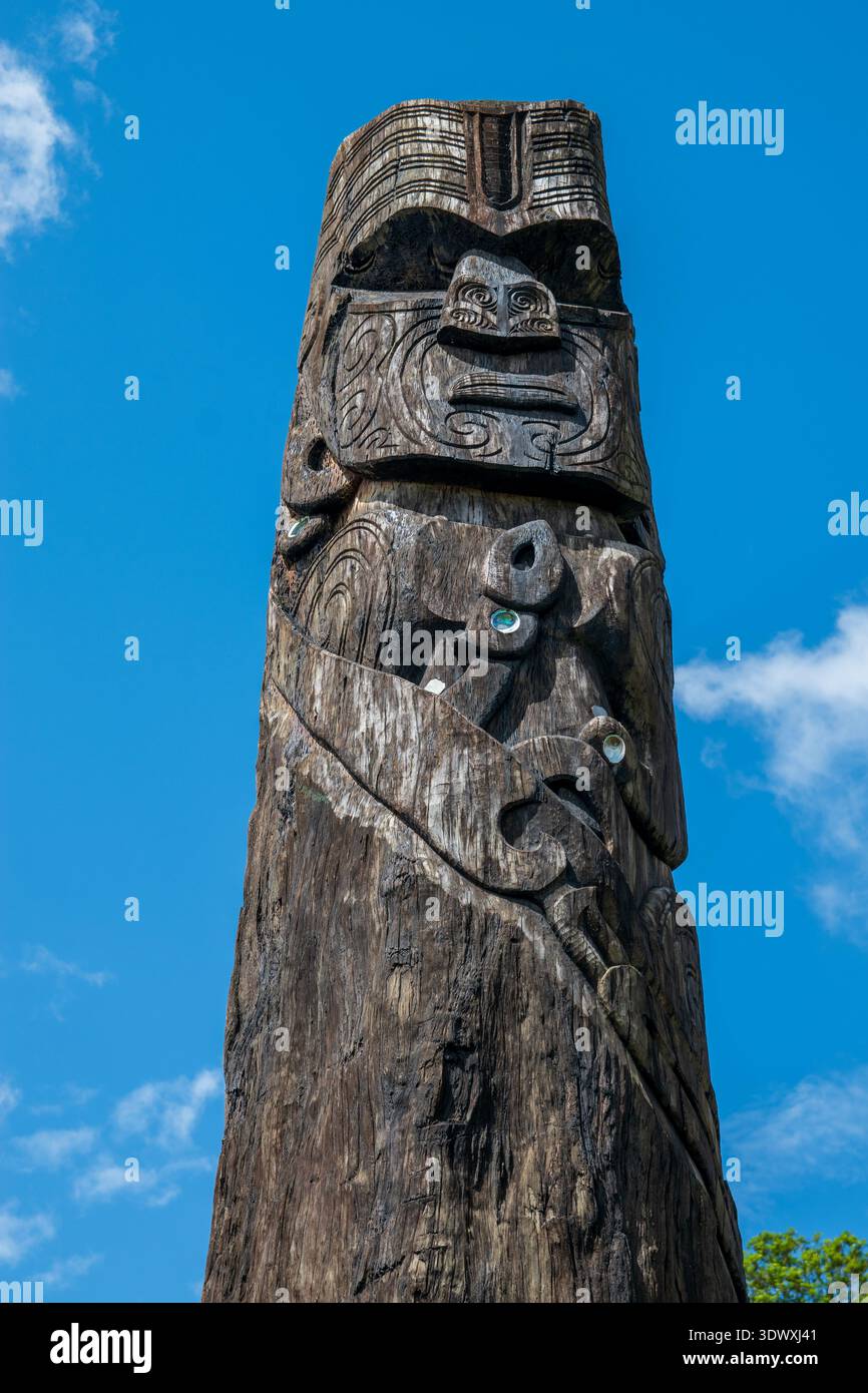 La città di Taupo, sull'isola settentrionale della nuova Zelanda, è circondata da dolci colline verdi e innumerevoli greggi di pecore. Foto Stock
