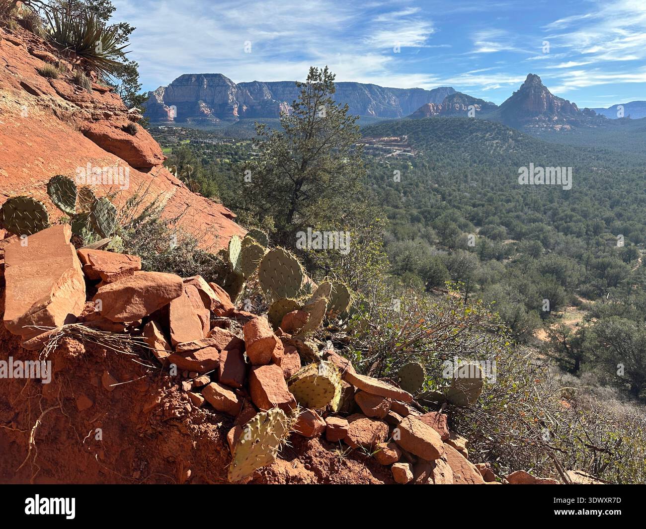Cactus e rocce rosse lungo un sentiero escursionistico vicino a Sedona, Arizona. Foto Stock