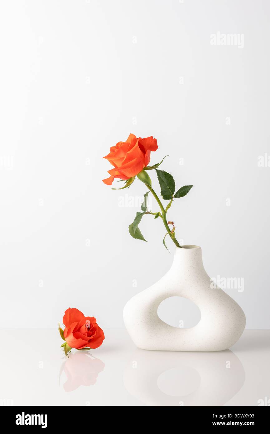 Singolo fiore di rosa arancione in corallo naturale in moderni vasi a forma di ciambella contro la parete bianca su un tavolo di vetro. Decorazione di piante per interni. Foto Stock