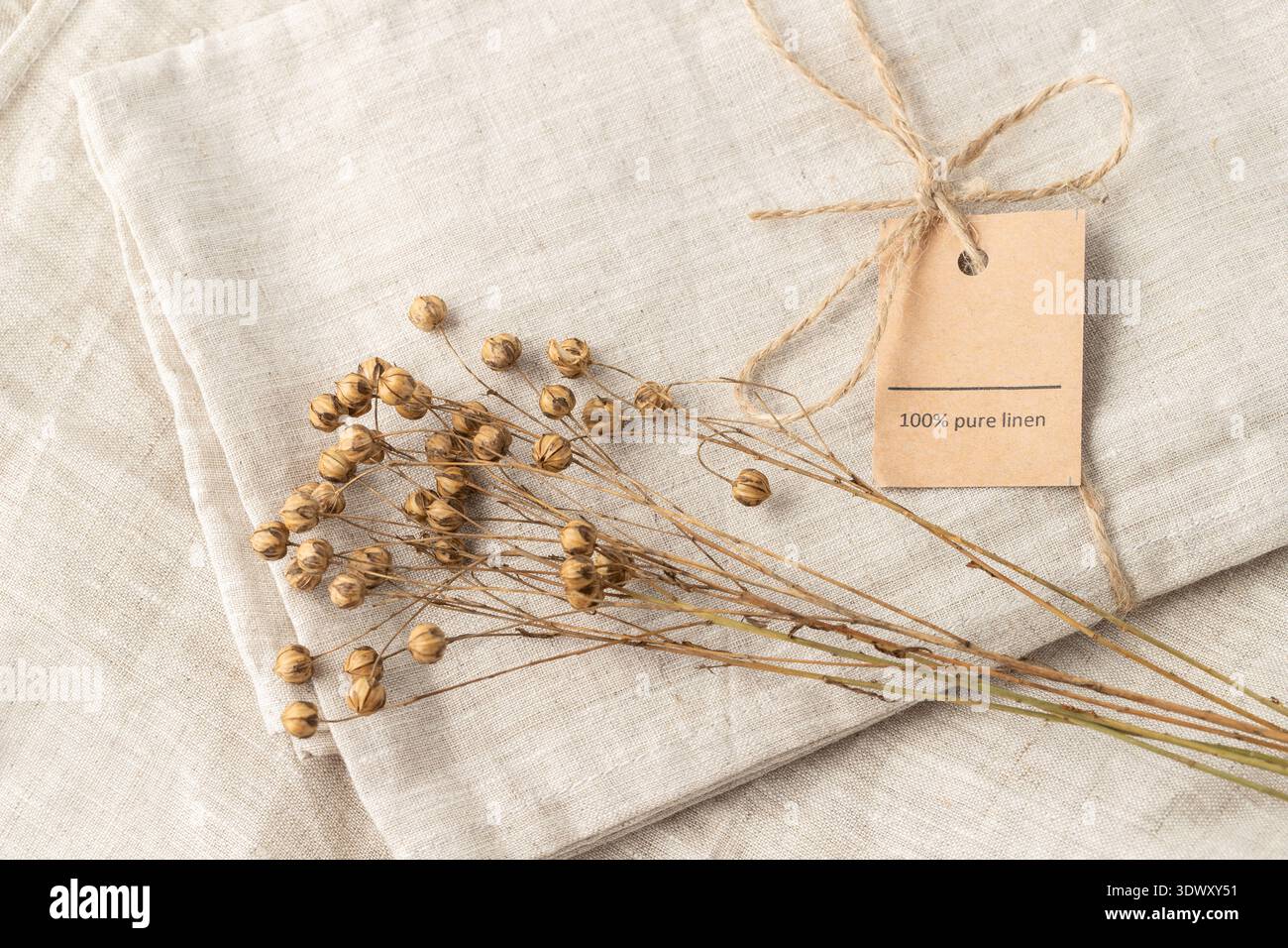 Mazzo di piante secche di lino su tessuto di lino beige naturale piegato con corda e testo 100% lino puro. Sfondo floreale in stile vintage con spazio copie Foto Stock