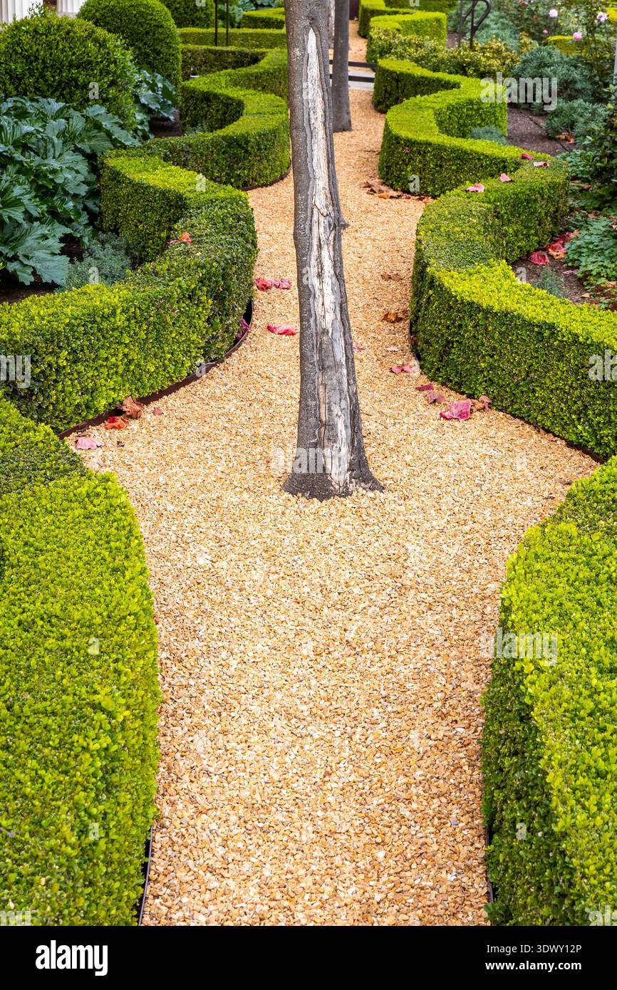 Cespugli verdi rifiniti con cura e vialetti strutturati del giardino che mostrano un raffinato design paesaggistico e un'estetica esterna Foto Stock
