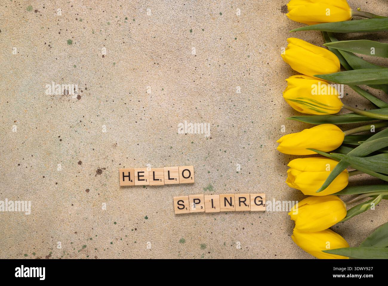 Fiori di tulipani gialli che fioriscono, disposti verticalmente su uno sfondo di cemento macchiato con piastrelle scraper che spellano la primavera ciao, simboleggiando l'arriva Foto Stock