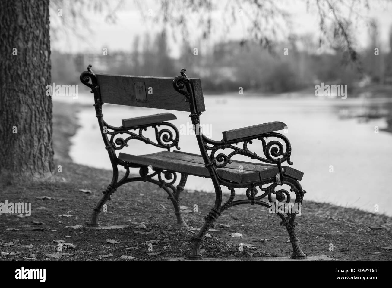 Empty Bench by the Water Peaceful Lakeside Scene Foto Stock