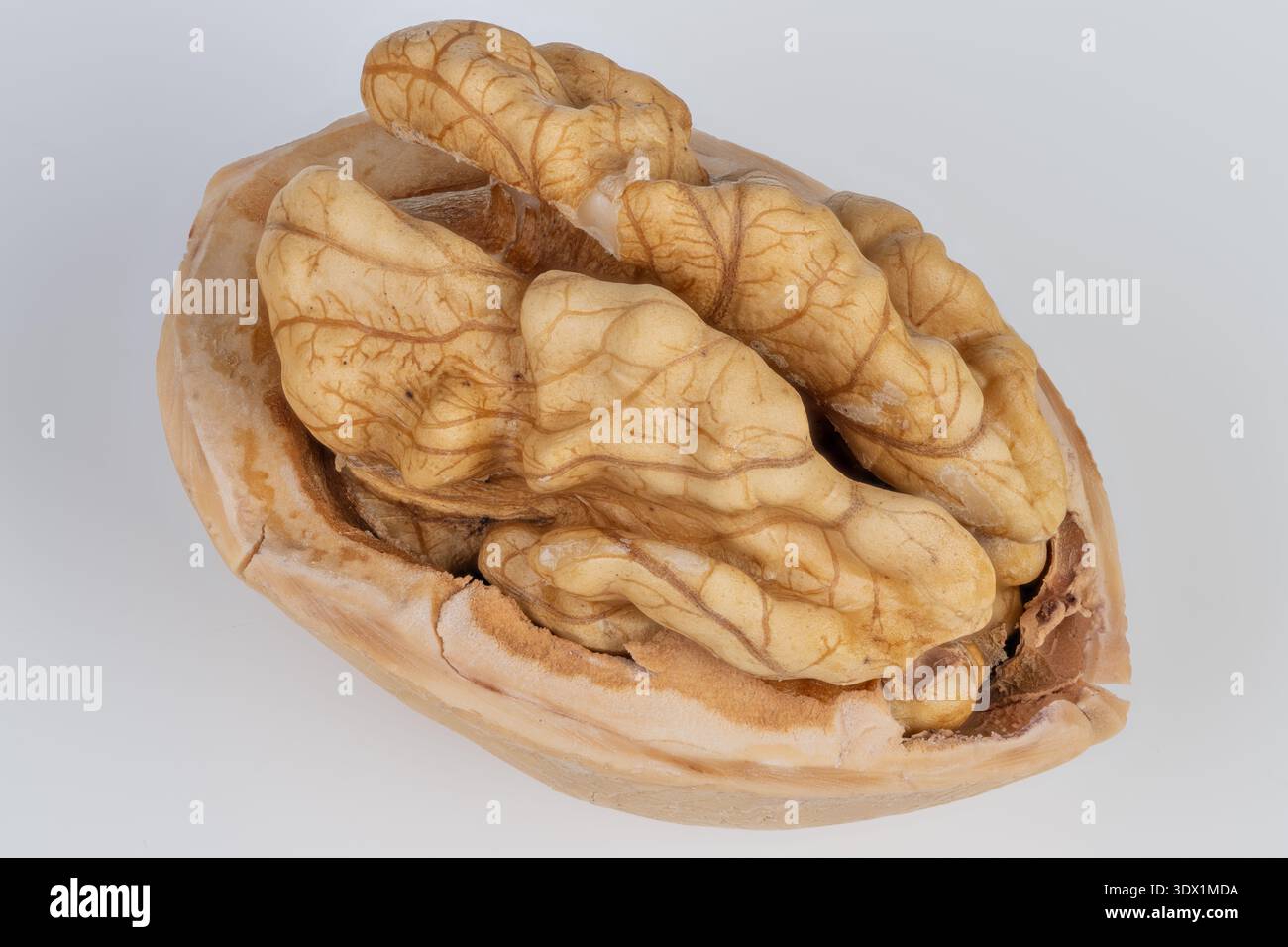 Mezze conchiglie di noce Nutrientrich che mettono in evidenza l'olio di omegarich, il profilo proteinpacked e gli spunti visivi sensazionali per il benessere. Foto Stock