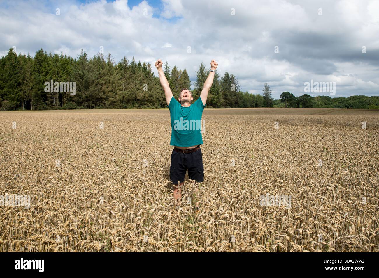Uomo maturo trionfante con le braccia alzate in aria che simboleggia il successo e la felicità in un campo di mais una giornata estiva Foto Stock