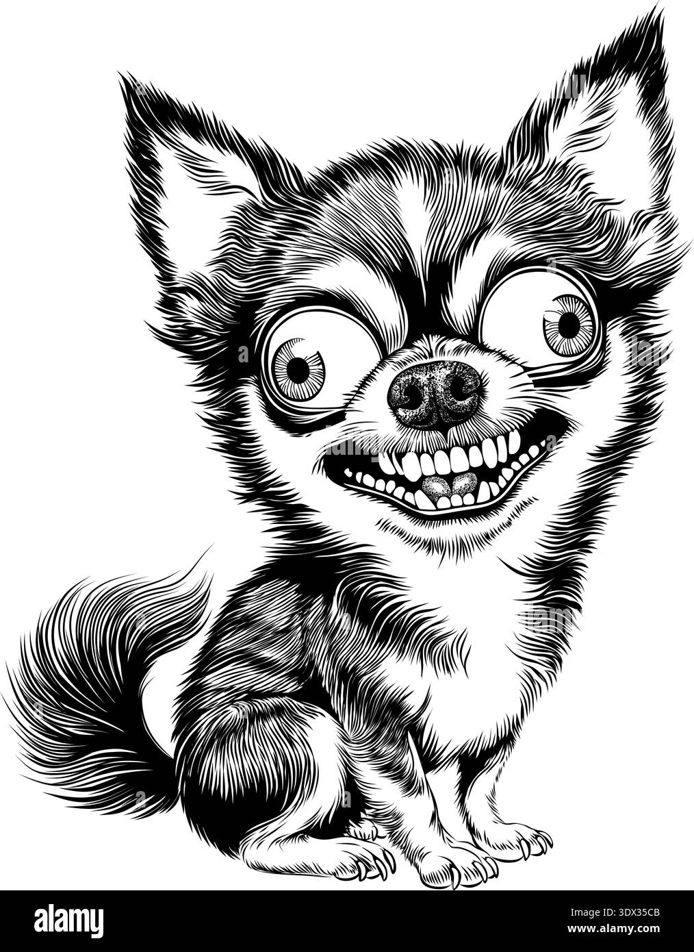 Simpatico pazzo chihuahua cane che macina con occhi grandi illustrazione vettoriale in bianco e nero Illustrazione Vettoriale