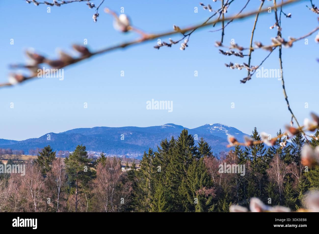 Vista panoramica sulle montagne incorniciata da rami in erba in primo piano. La profondità di campo naturale crea una composizione a strati che simboleggia il passaggio stagionale Foto Stock