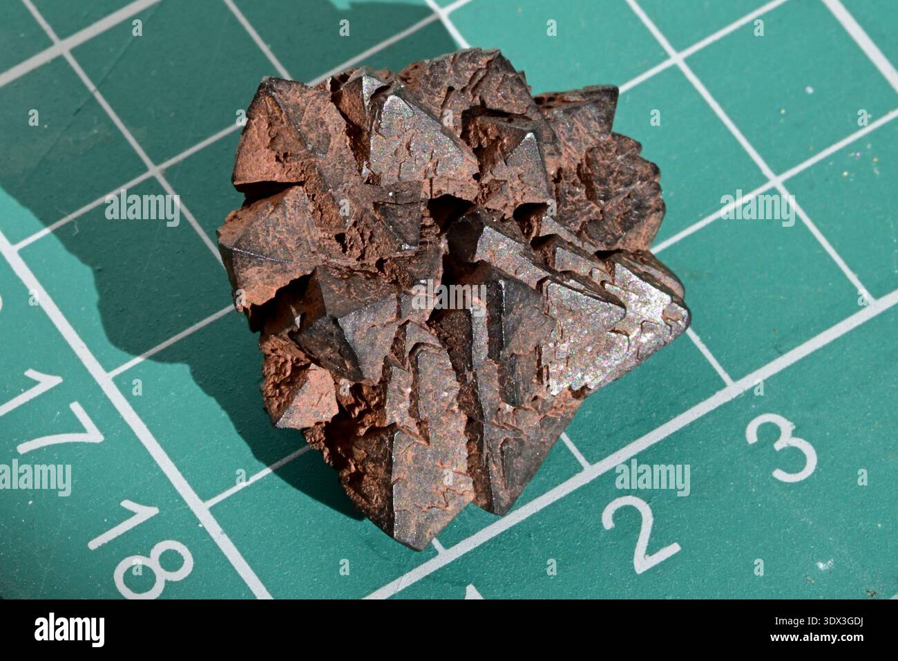 Ematite come minerale cristallino. Questo minerale per ferro a Mumbles Hill Swansea, Galles, mostra un colore grigio metallizzato marrone, stato non lucidato con scala di cm Foto Stock