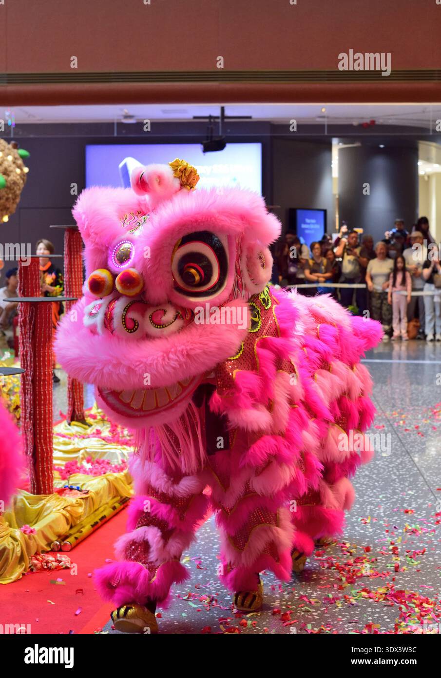 Danze tradizionali di leoni dorati per celebrare il capodanno cinese del cavallo 2026 Foto Stock